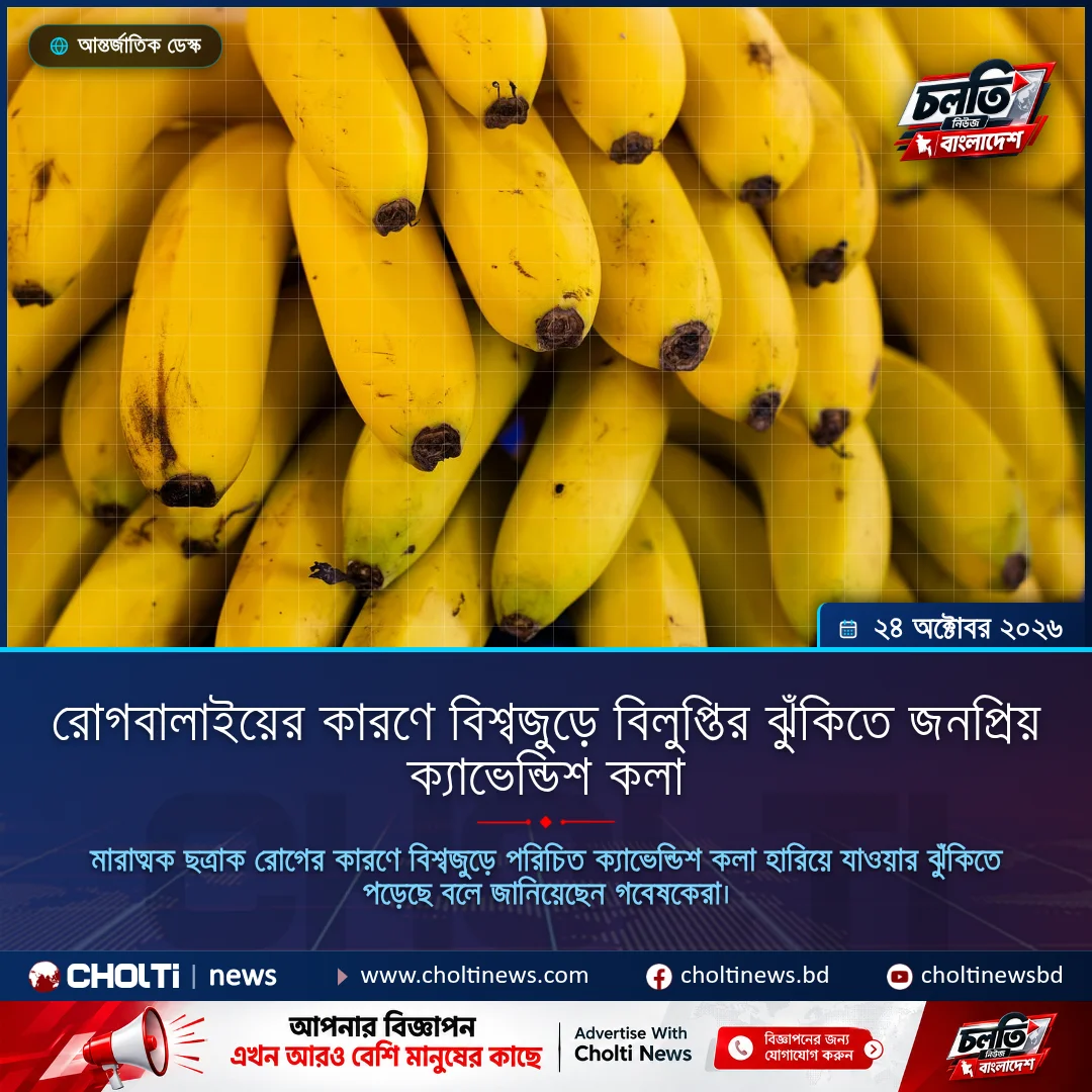 Deadly Disease Puts World’s Favorite Cavendish Banana at Risk of Extinction
